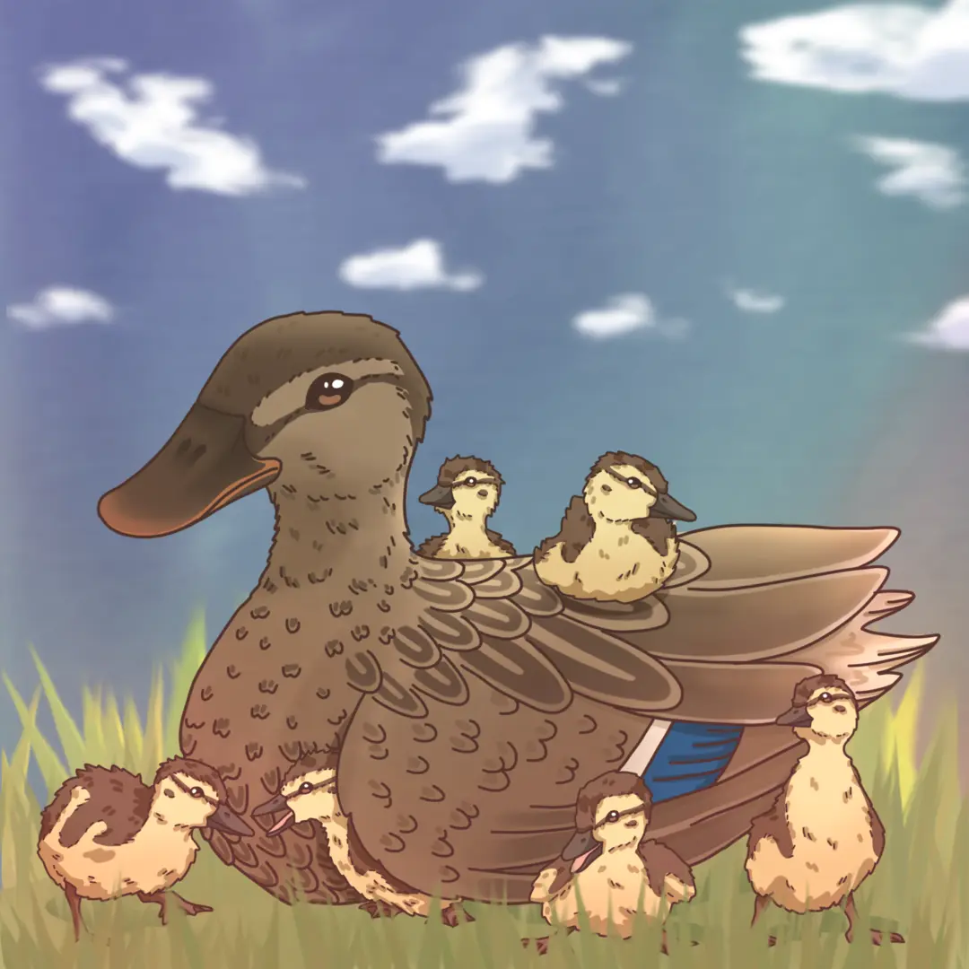 Featured artifact